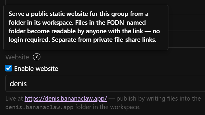 Website settings showing a live subdomain